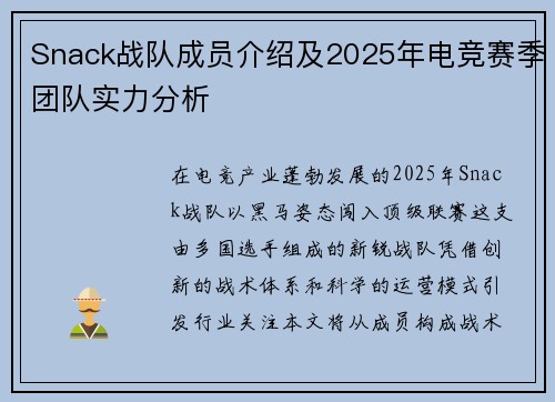 Snack战队成员介绍及2025年电竞赛季团队实力分析